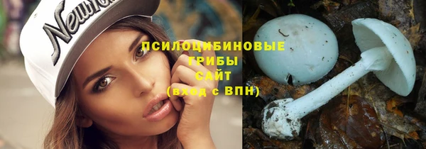 прущая мука Переславль-Залесский