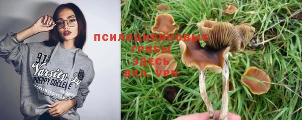 круглые Осташков