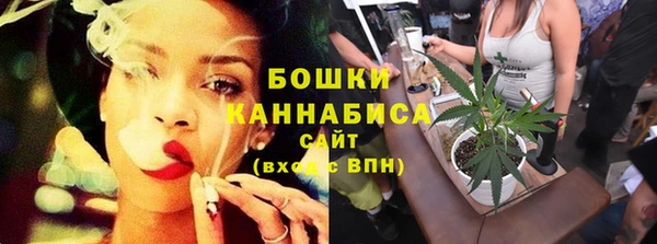 PSILOCYBIN Пестово