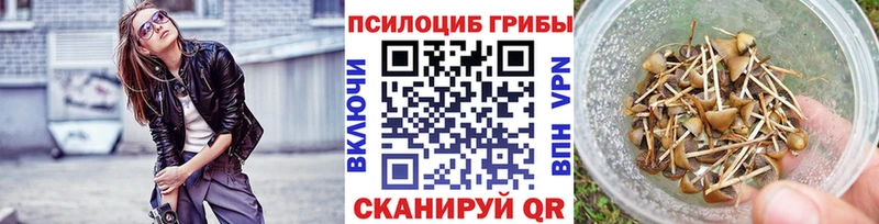 Псилоцибиновые грибы GOLDEN TEACHER shop официальный сайт ссылка на мегу как зайти Беломорск что такое наркотик